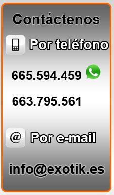 Contacto exotik