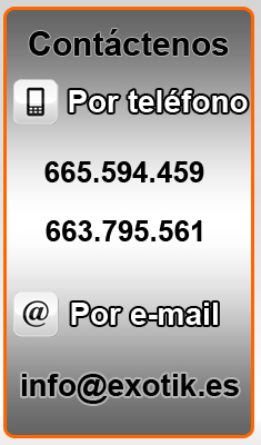 Contacto exotik