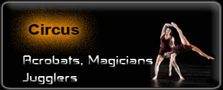 Circus performances
